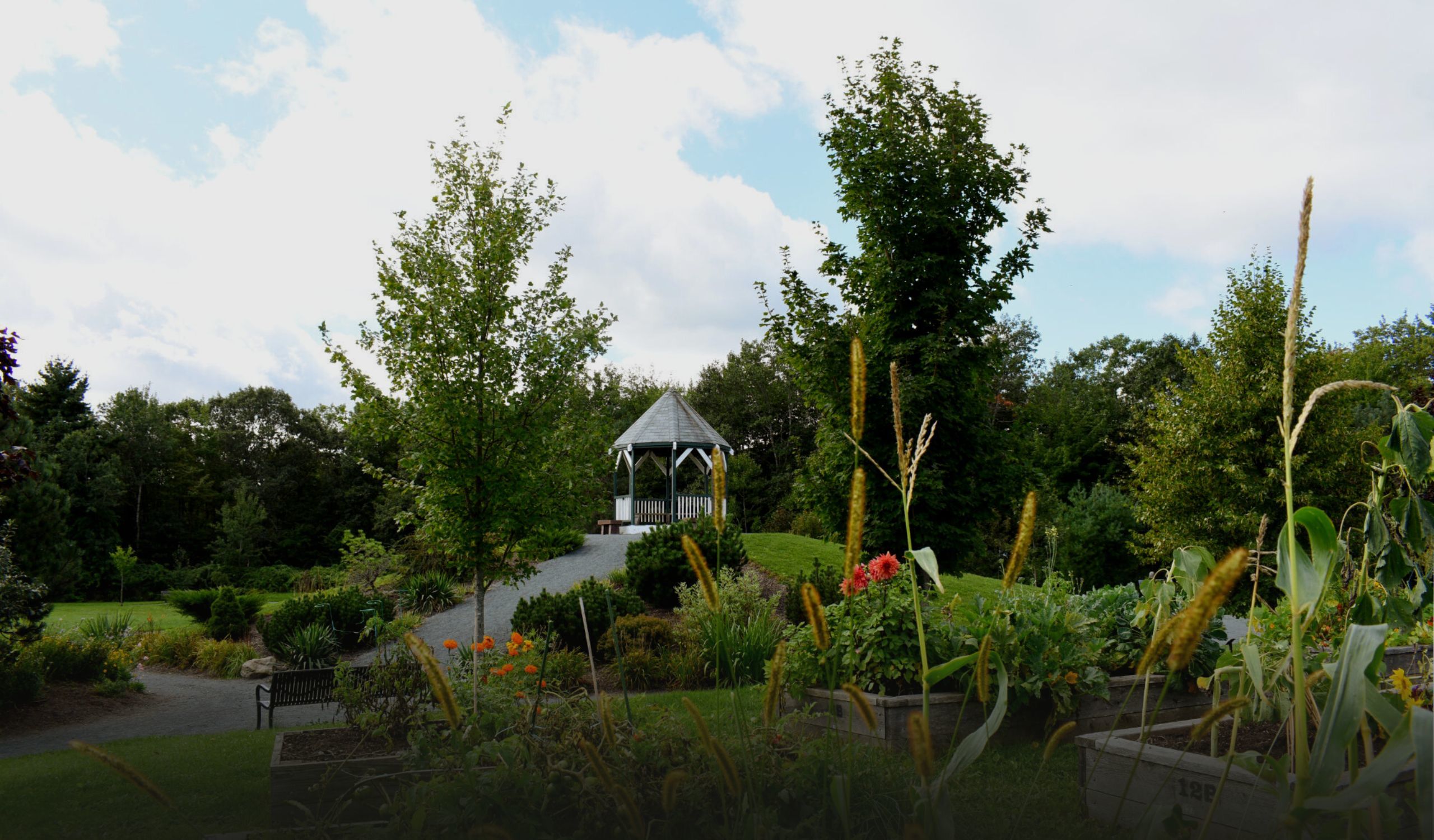 Sackville Homes for Sale Halifax, NS Real Estate